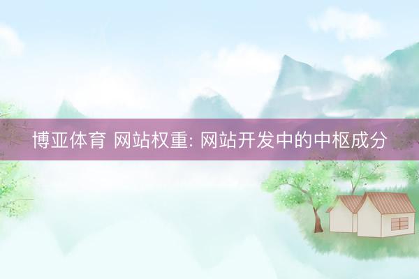 博亚体育 网站权重: 网站开发中的中枢成分