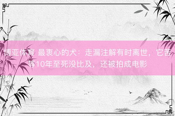 博亚体育 最衷心的犬：走漏注解有时离世，它苦等10年至死没比及，还被拍成电影