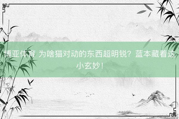 博亚体育 为啥猫对动的东西超明锐？蓝本藏着这小玄妙！