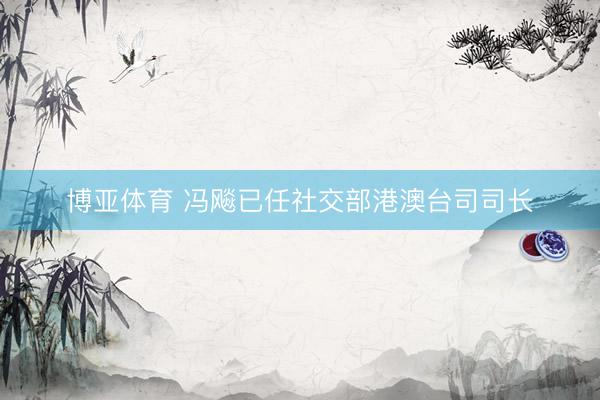 博亚体育 冯飚已任社交部港澳台司司长