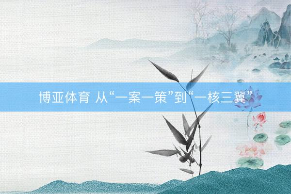 博亚体育 从“一案一策”到“一核三翼”