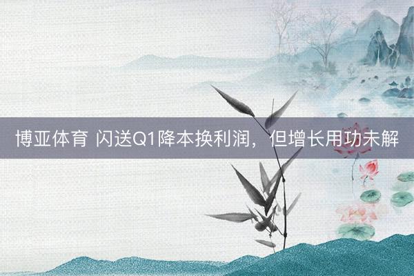 博亚体育 闪送Q1降本换利润，但增长用功未解