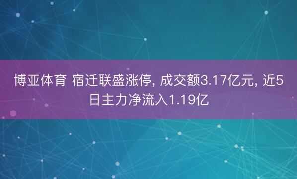 博亚体育 宿迁联盛涨停， 成交额3.17亿元， 近5日主力净流入1.19亿