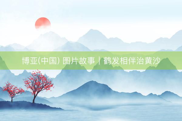 博亚(中国) 图片故事｜鹤发相伴治黄沙