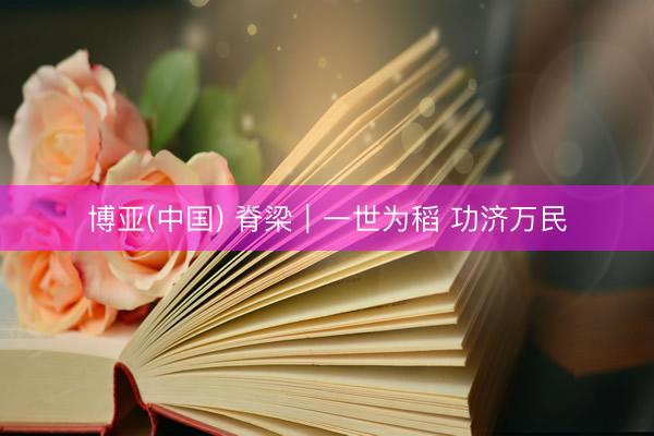 博亚(中国) 脊梁｜一世为稻 功济万民