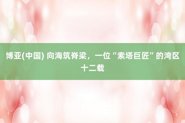 博亚(中国) 向海筑脊梁，一位“索塔巨匠”的湾区十二载