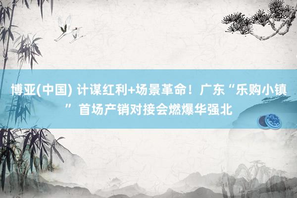 博亚(中国) 计谋红利+场景革命！广东“乐购小镇” 首场产销对接会燃爆华强北